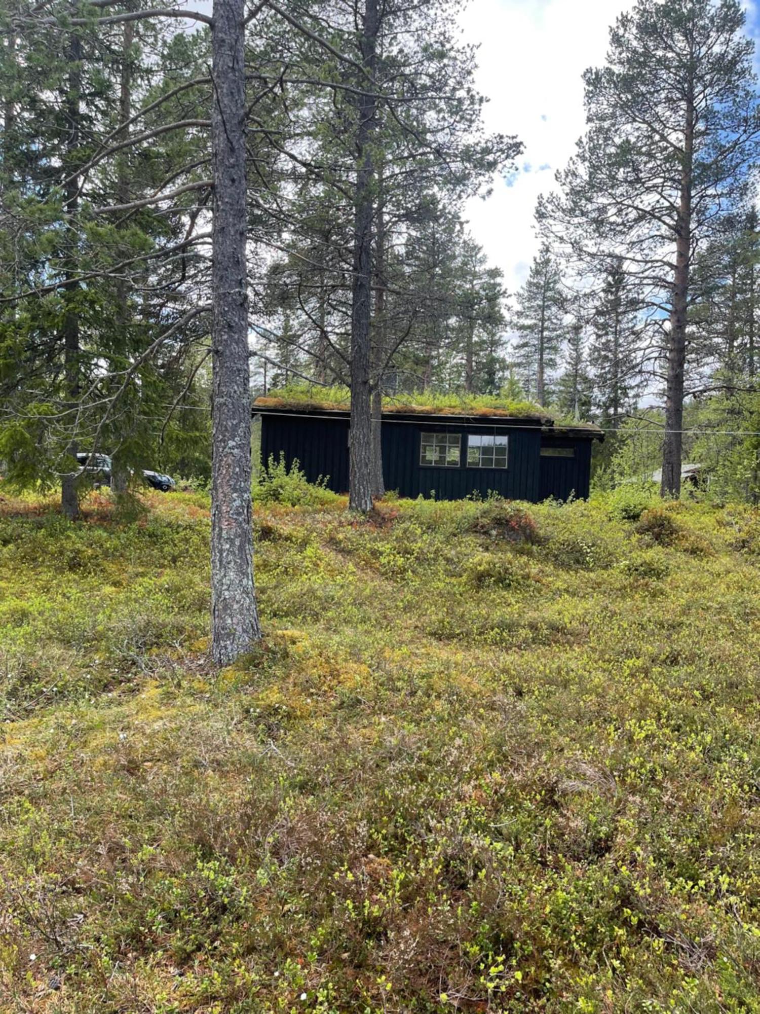 Hytta Pa Oyfjell Villa Ngoại thất bức ảnh