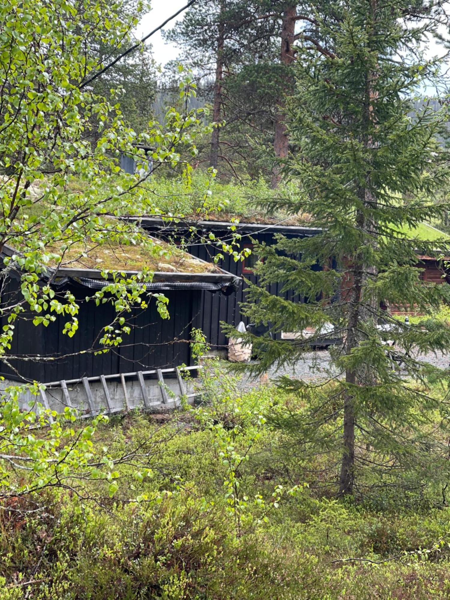 Hytta Pa Oyfjell Villa Ngoại thất bức ảnh