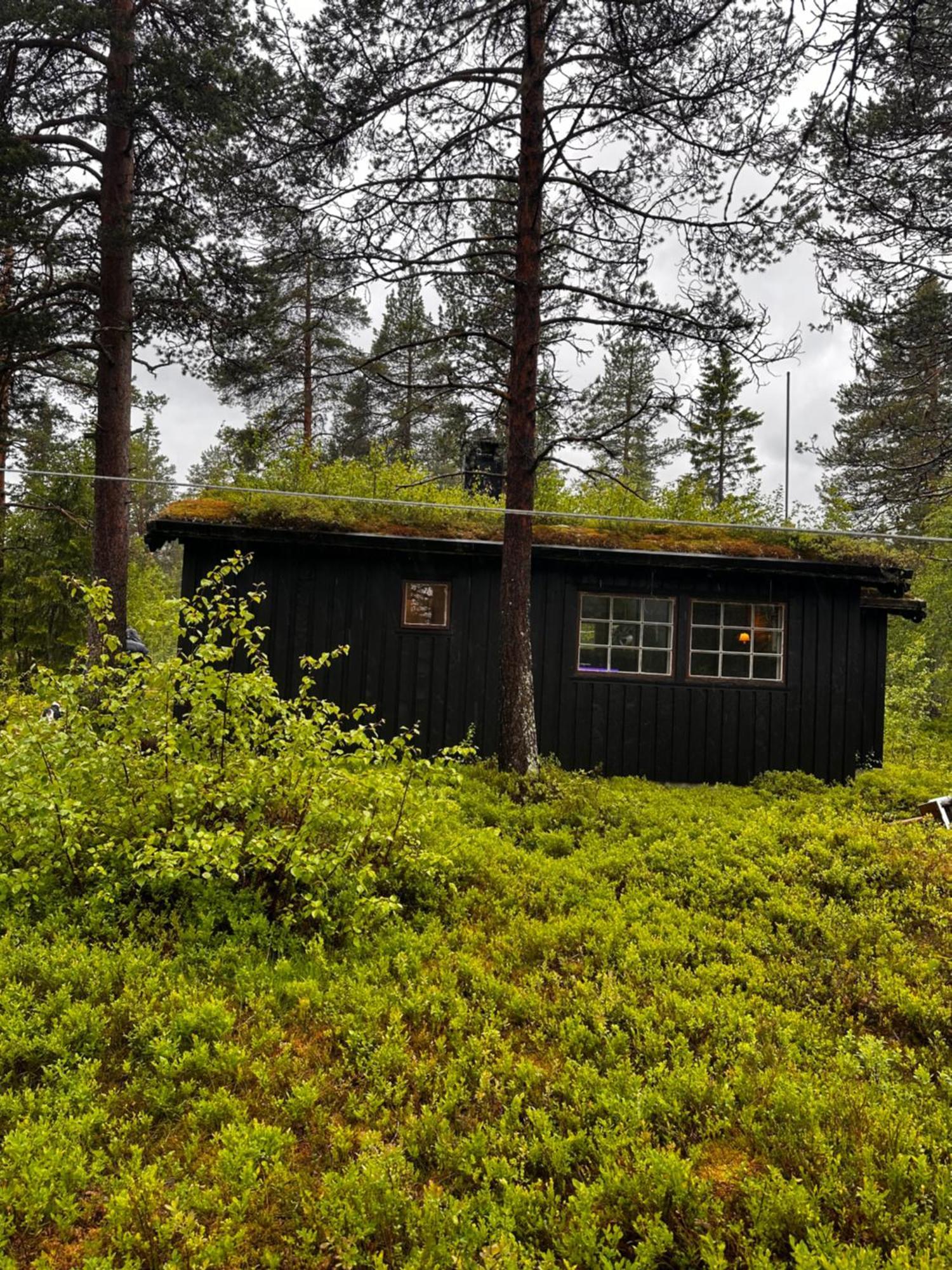 Hytta Pa Oyfjell Villa Ngoại thất bức ảnh