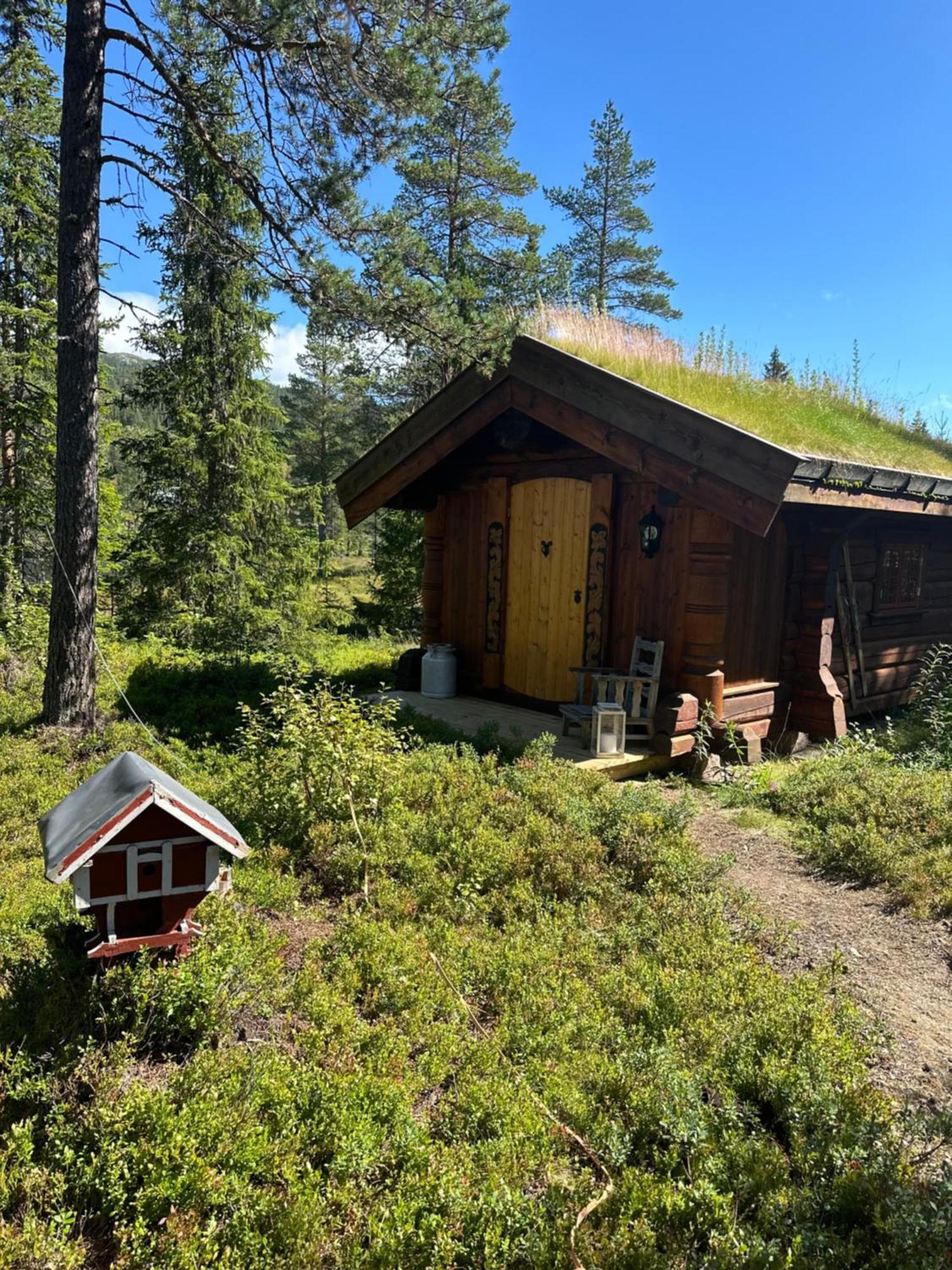 Hytta Pa Oyfjell Villa Ngoại thất bức ảnh