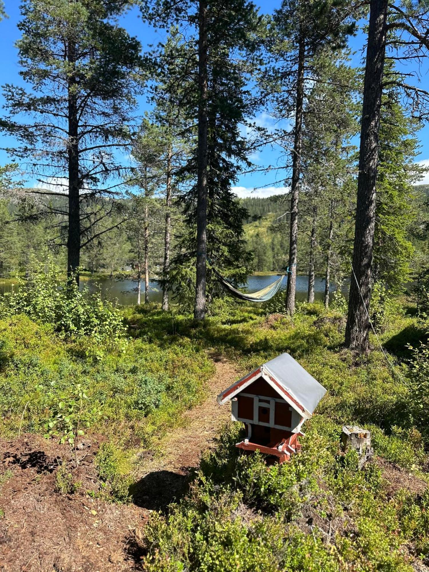 Hytta Pa Oyfjell Villa Ngoại thất bức ảnh