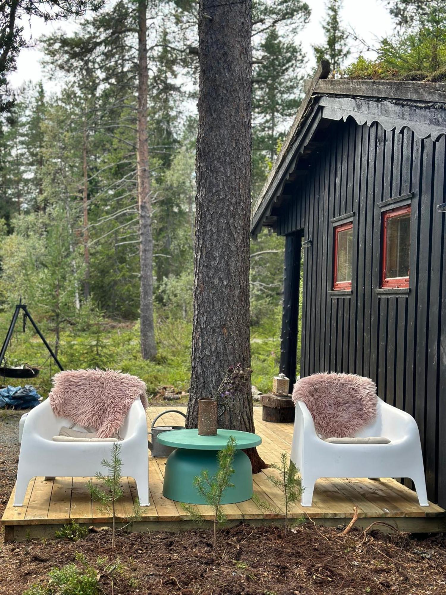 Hytta Pa Oyfjell Villa Ngoại thất bức ảnh